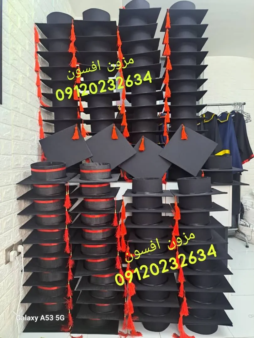 IMG-20241110-WA0008
